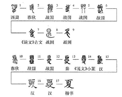 包 象形|汉字“包”的起源与演变（源流）